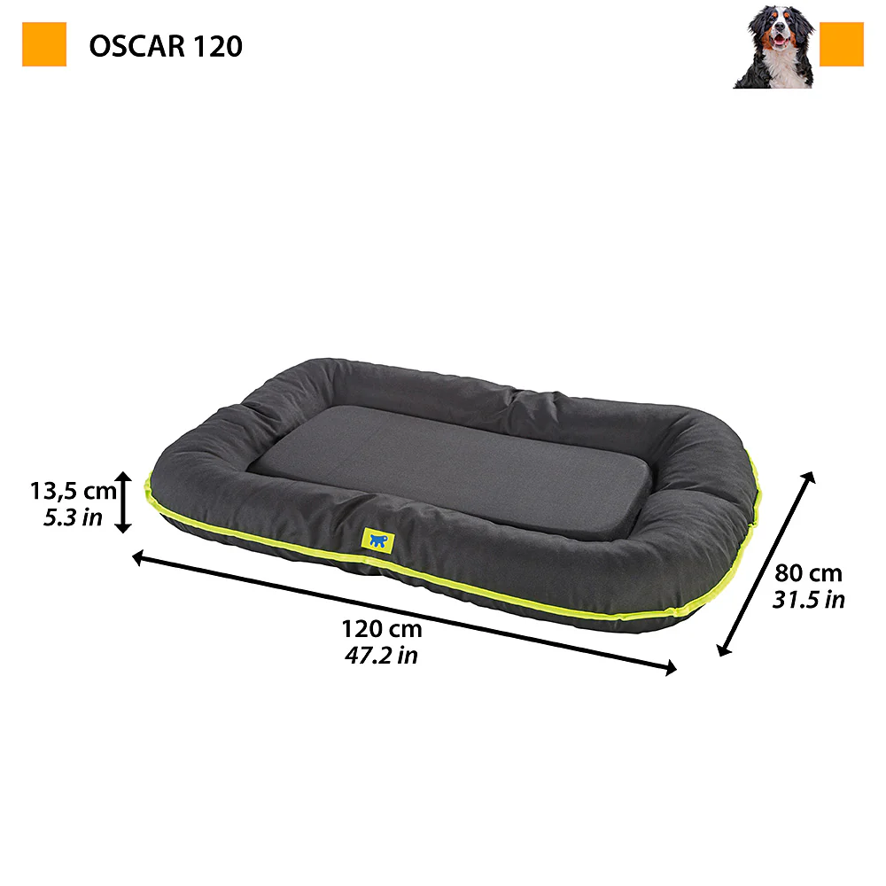 OSCAR - Image 31