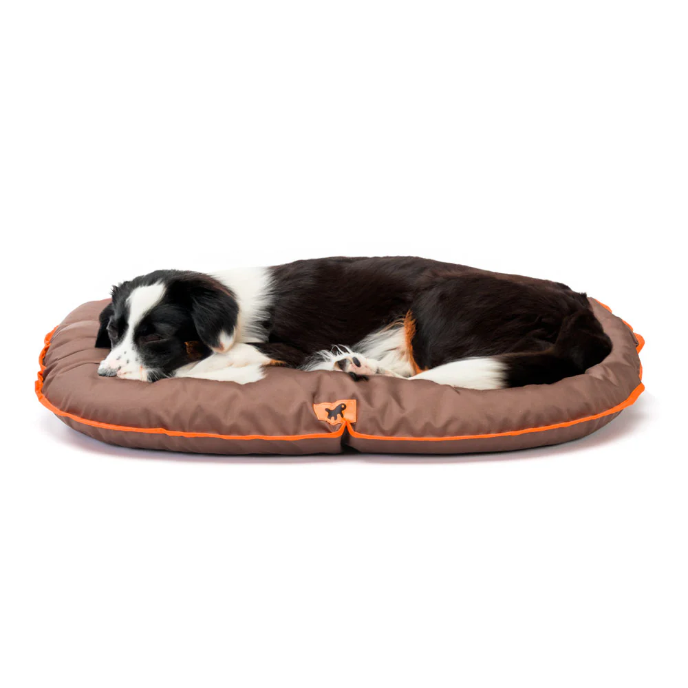 OSCAR - Image 4