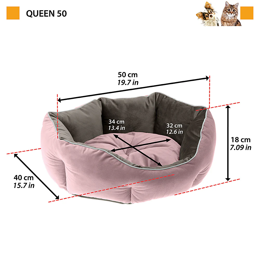 QUEEN - Image 6
