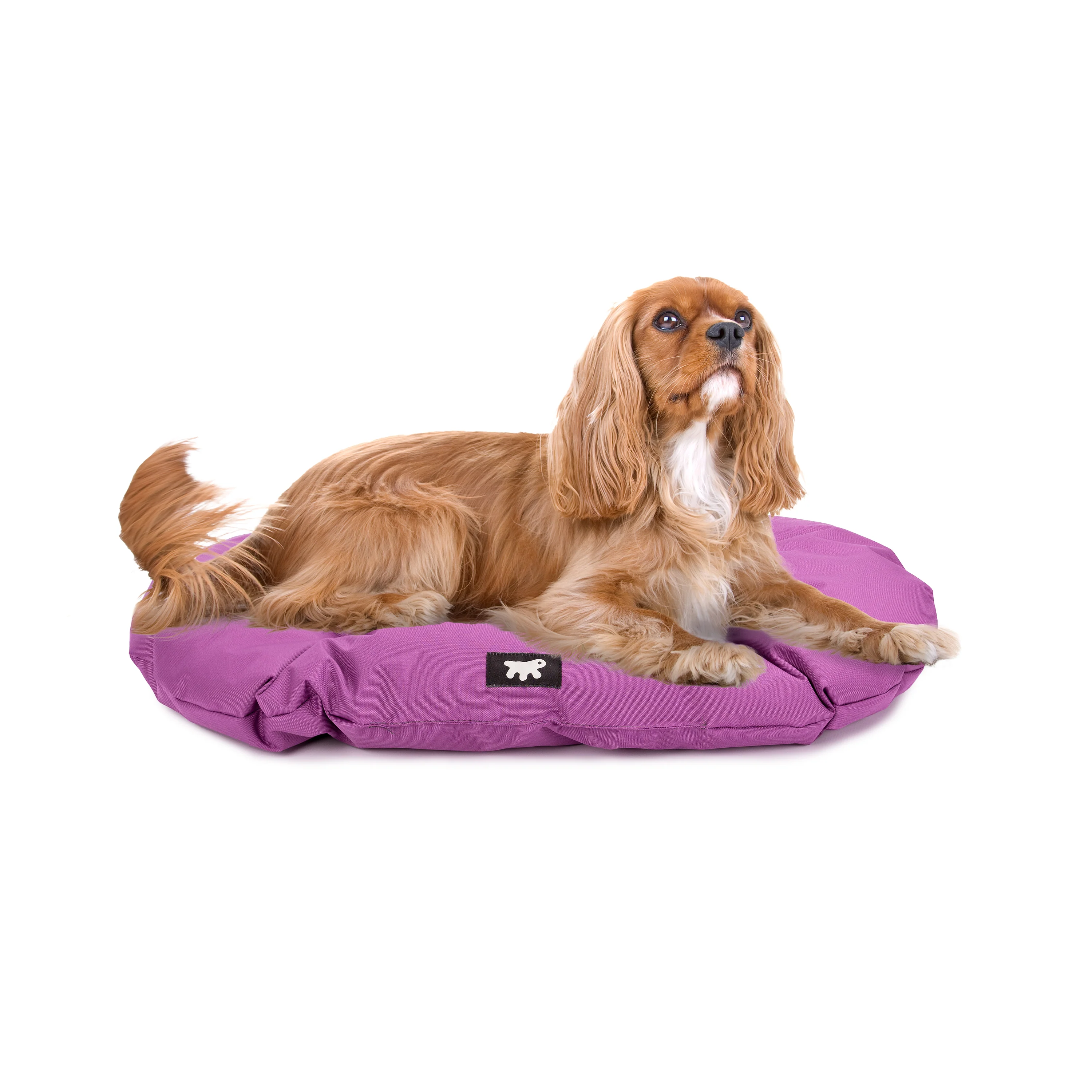 RELAX TECH - Image 46