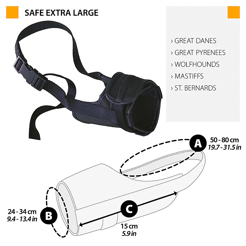 SAFE - Image 14