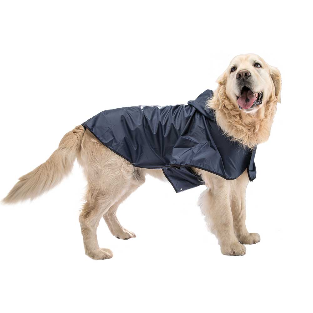 SAILOR BLUE - Image 7