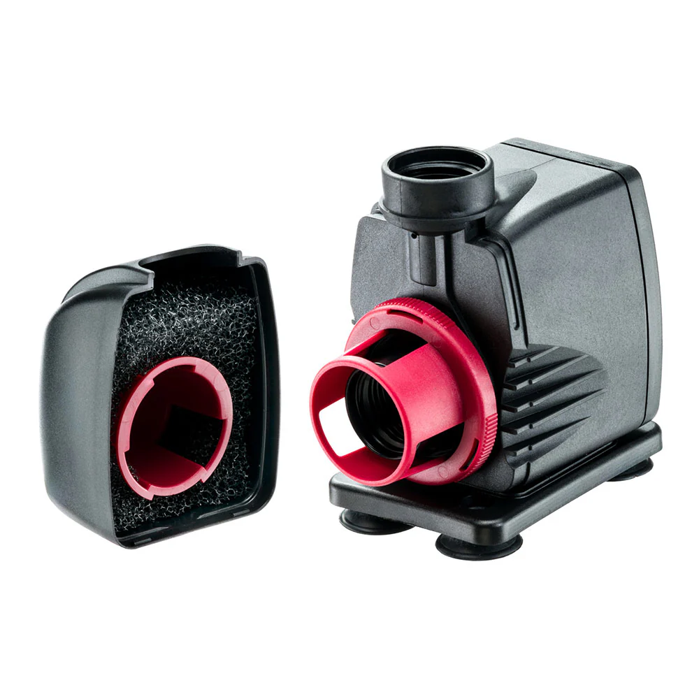 SELTZ L - Image 6