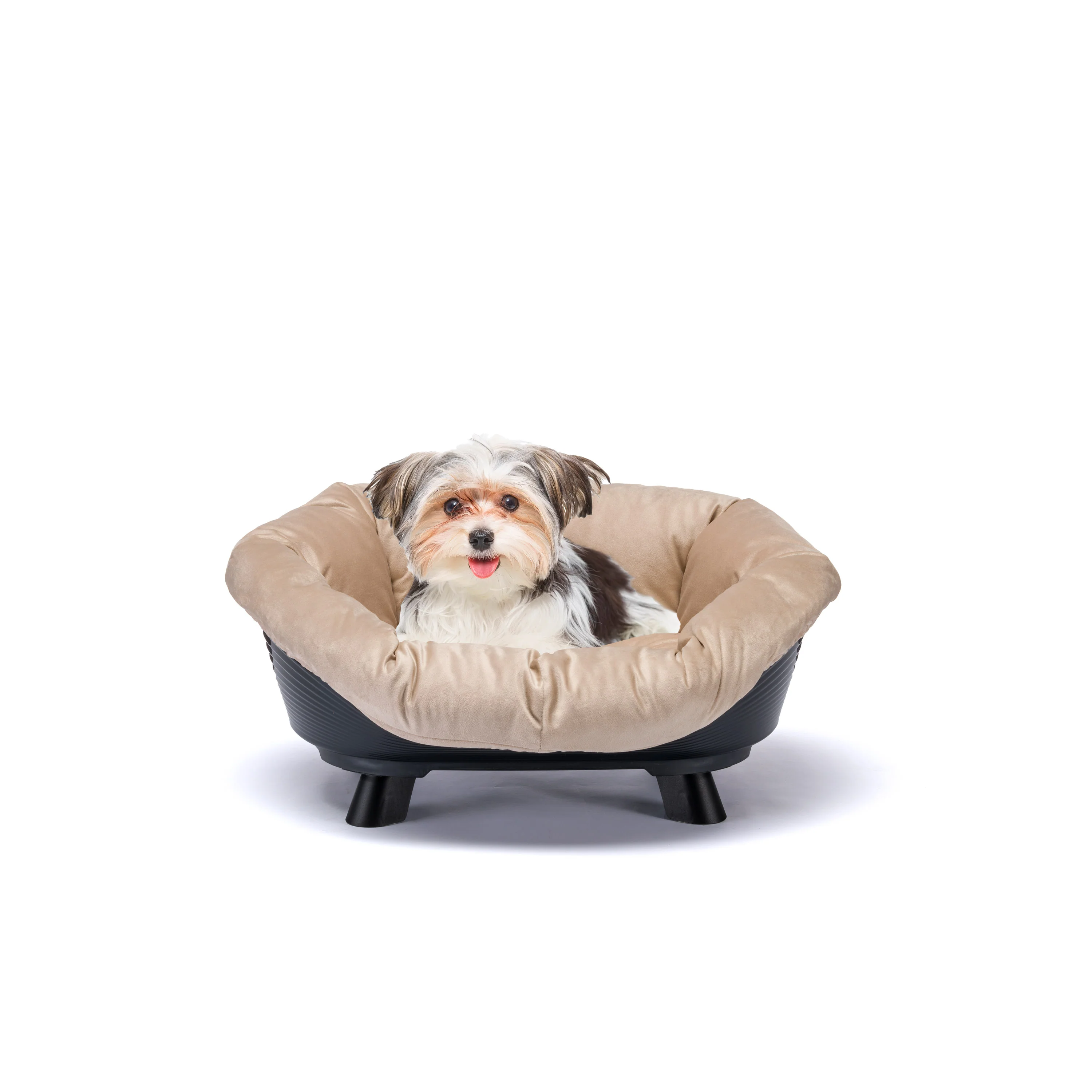 SOFA' THRONE - Image 13