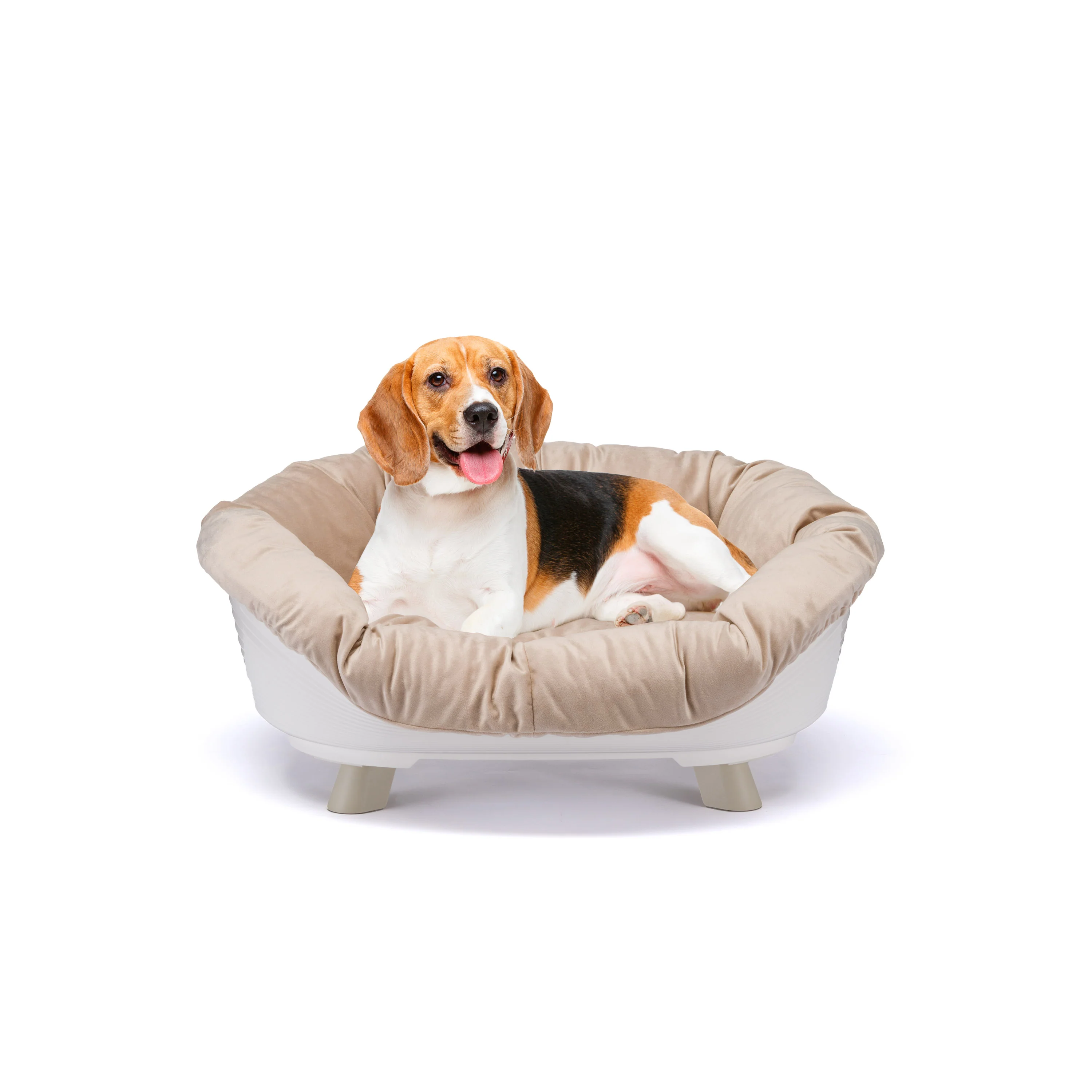 SOFA' THRONE - Image 22