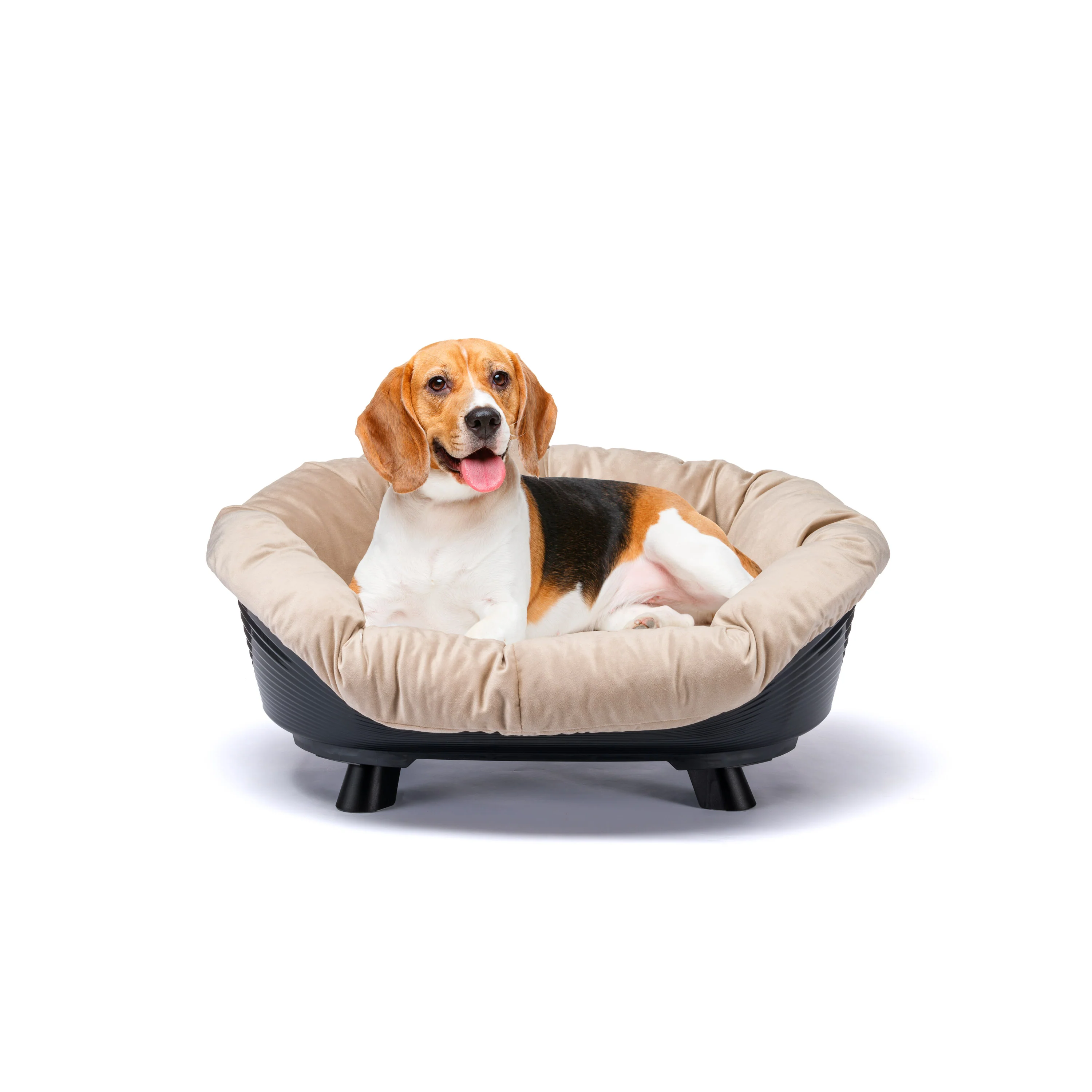 SOFA' THRONE - Image 28