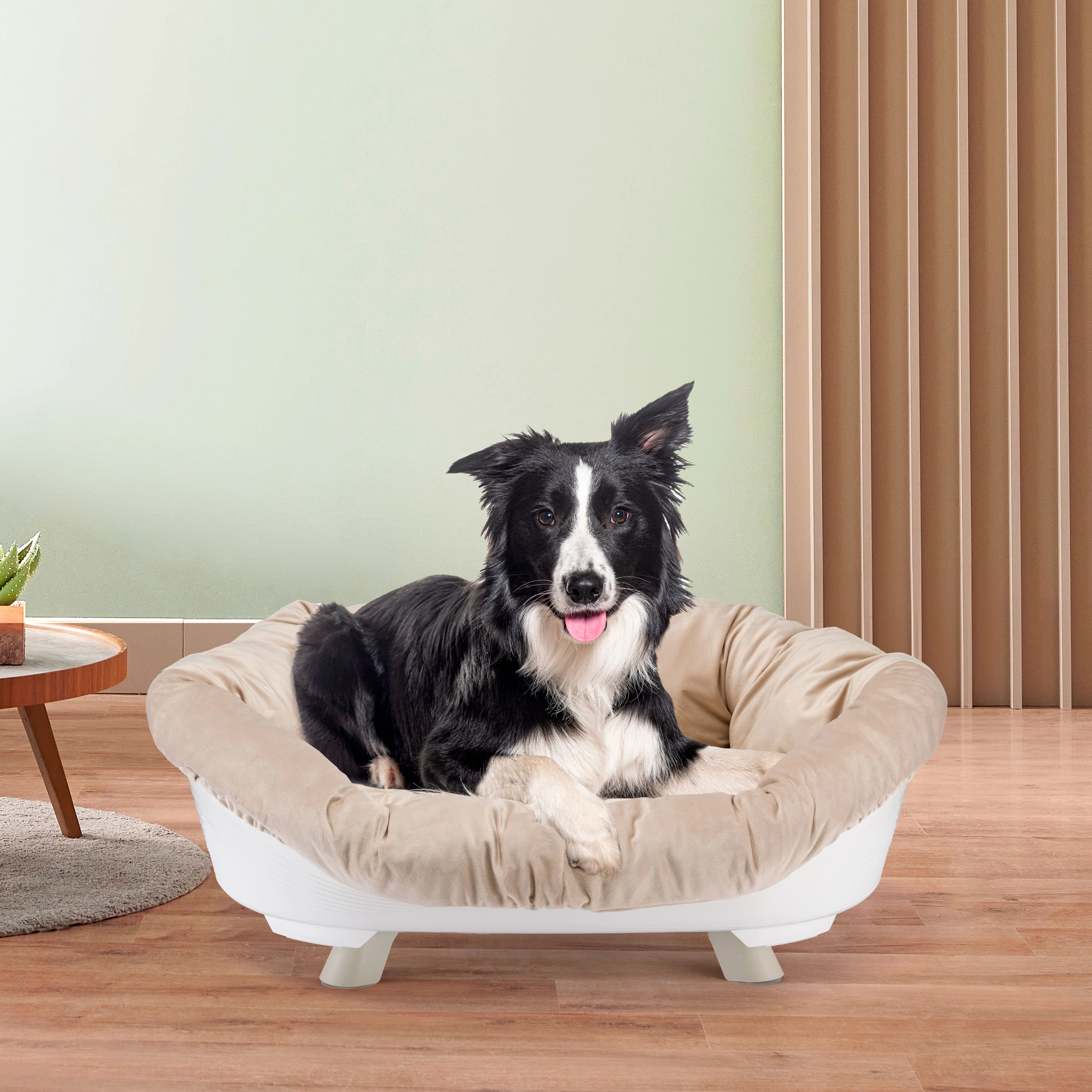 SOFA' THRONE - Image 34
