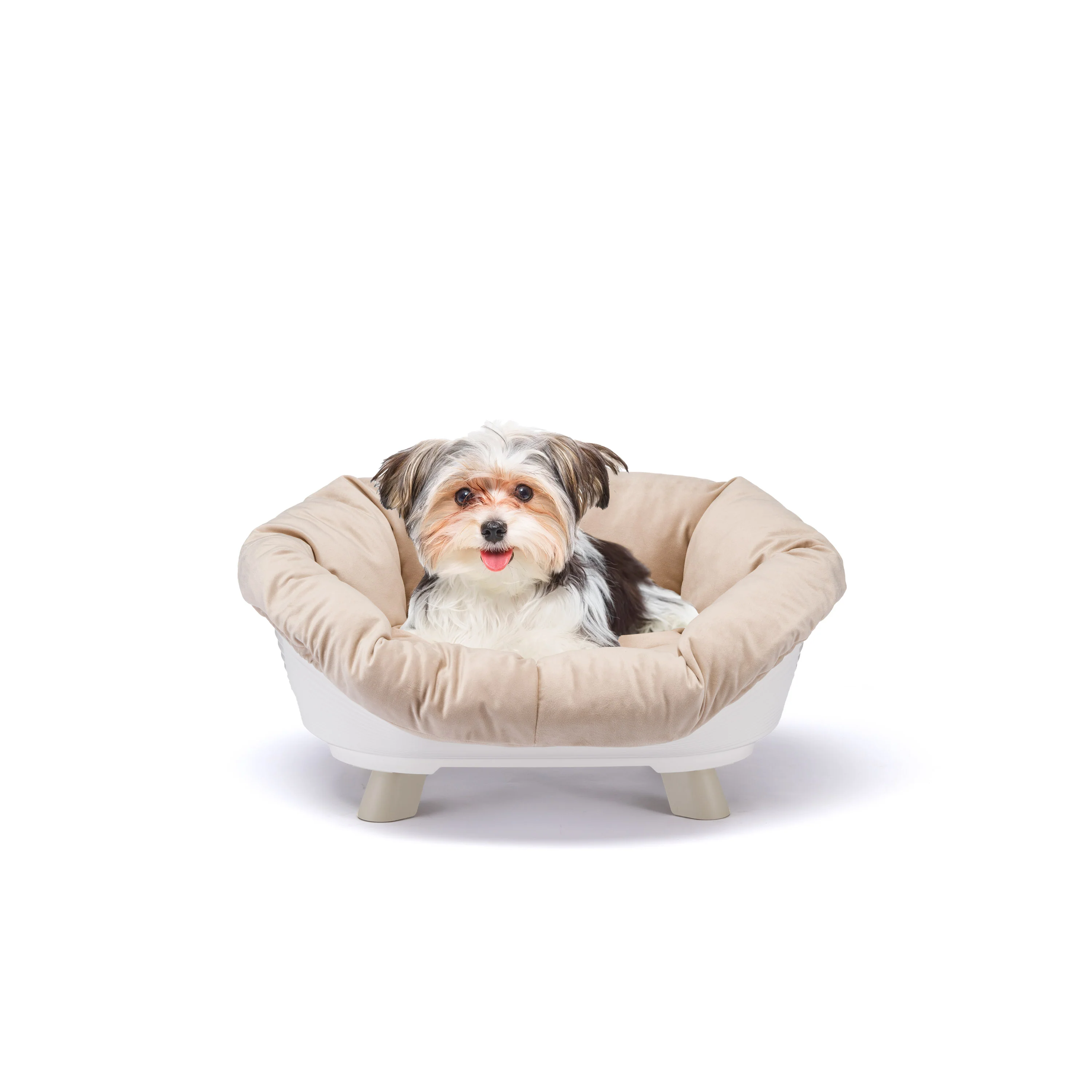 SOFA' THRONE - Image 5