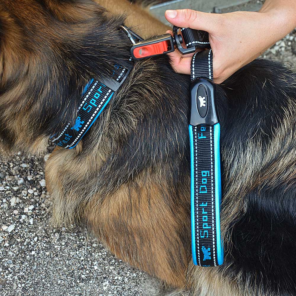 SPORT DOG C - Image 32
