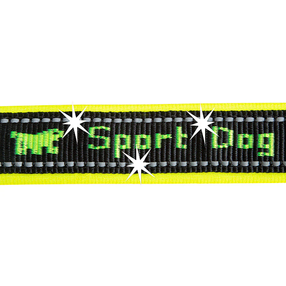 SPORT DOG P - Image 22